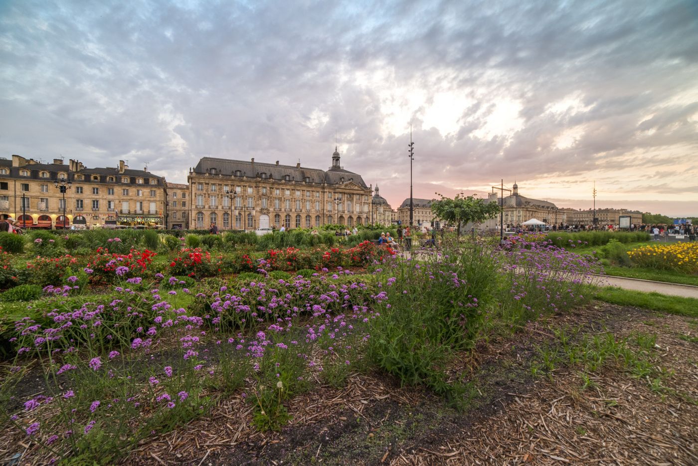 Jardin des Lumières ©Vincent Bengold