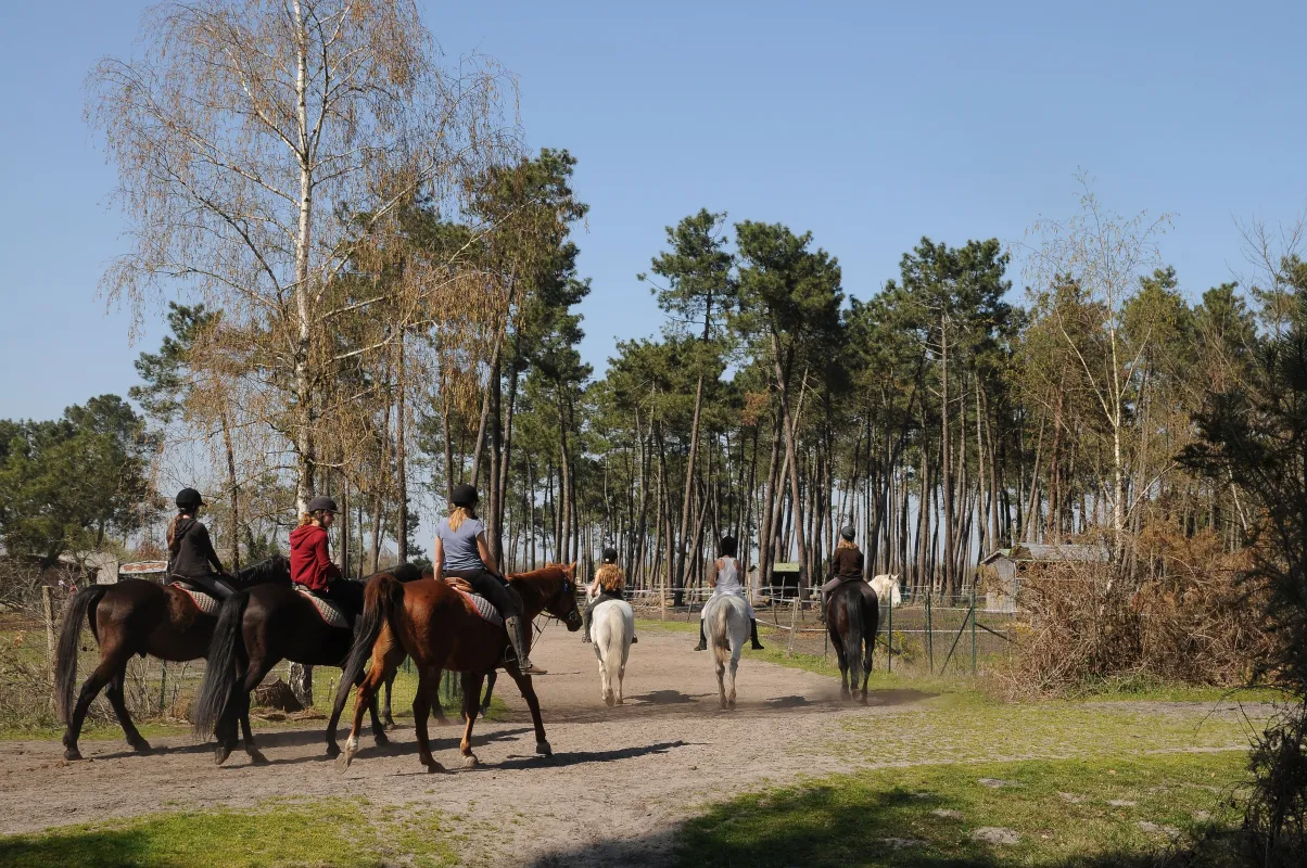 Cette photo met en avant une balade équestre sur le site des Bois des sources du Peugue