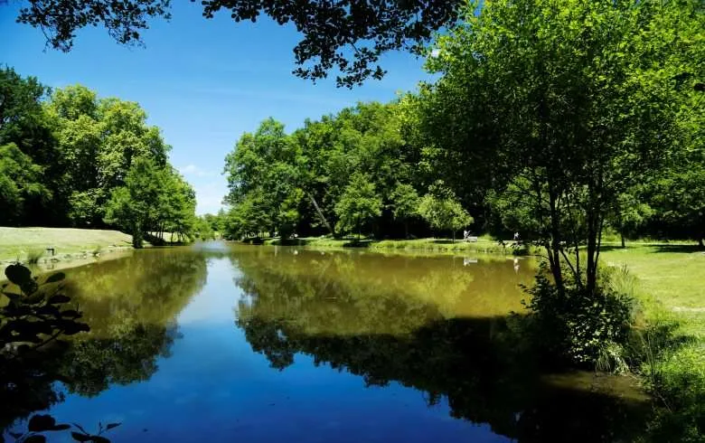 Étang des pêcheurs Artigues-près-Bordeaux