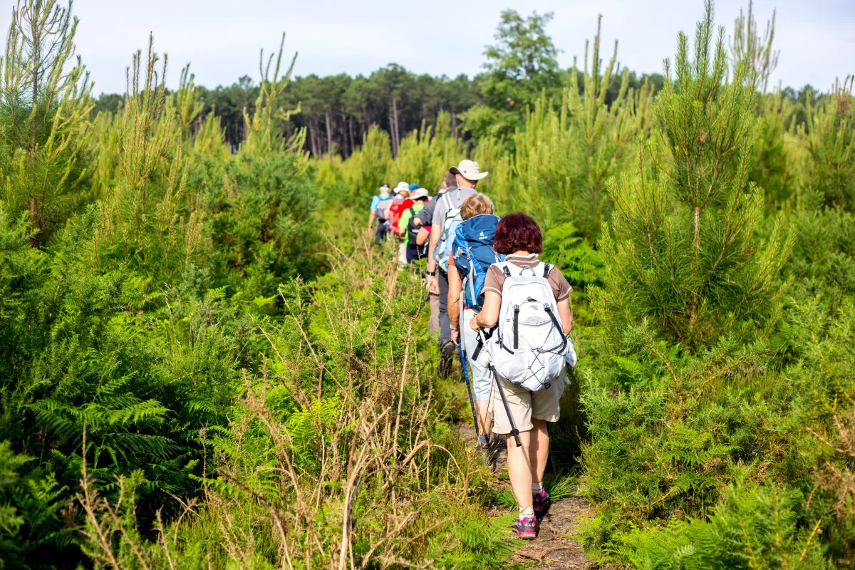 Excursions hors de bordeaux