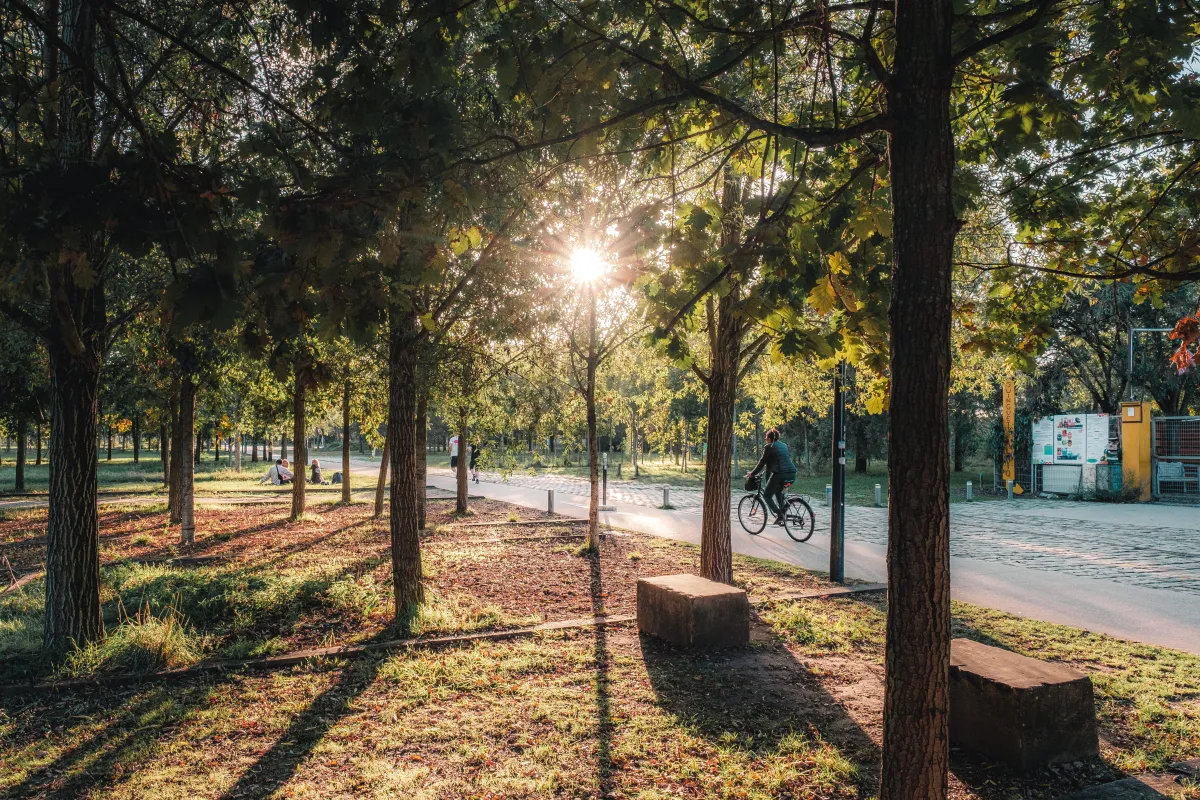 Parc aux Angéliques©Teddy Verneuil